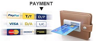 payment