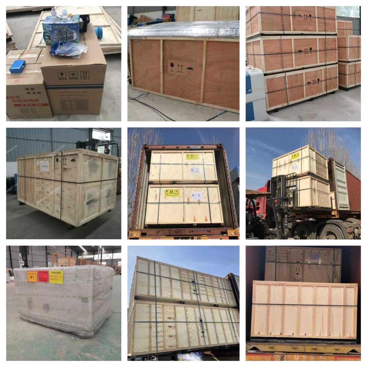 product-1200-1200 product-1200-1200
