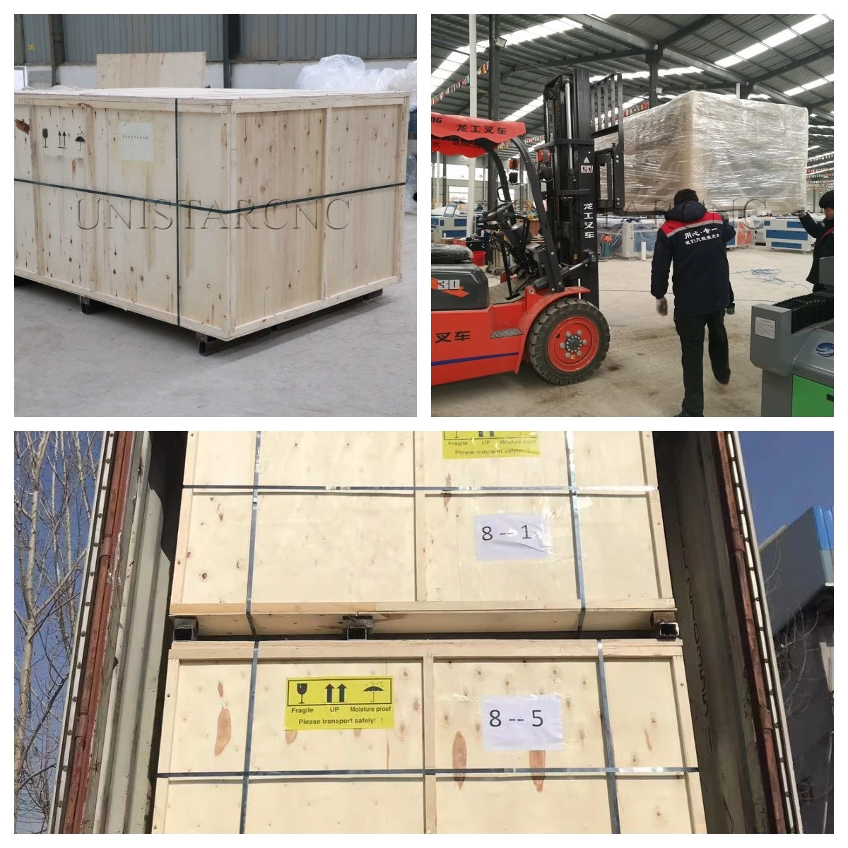 product-1200-1200 product-1200-1200