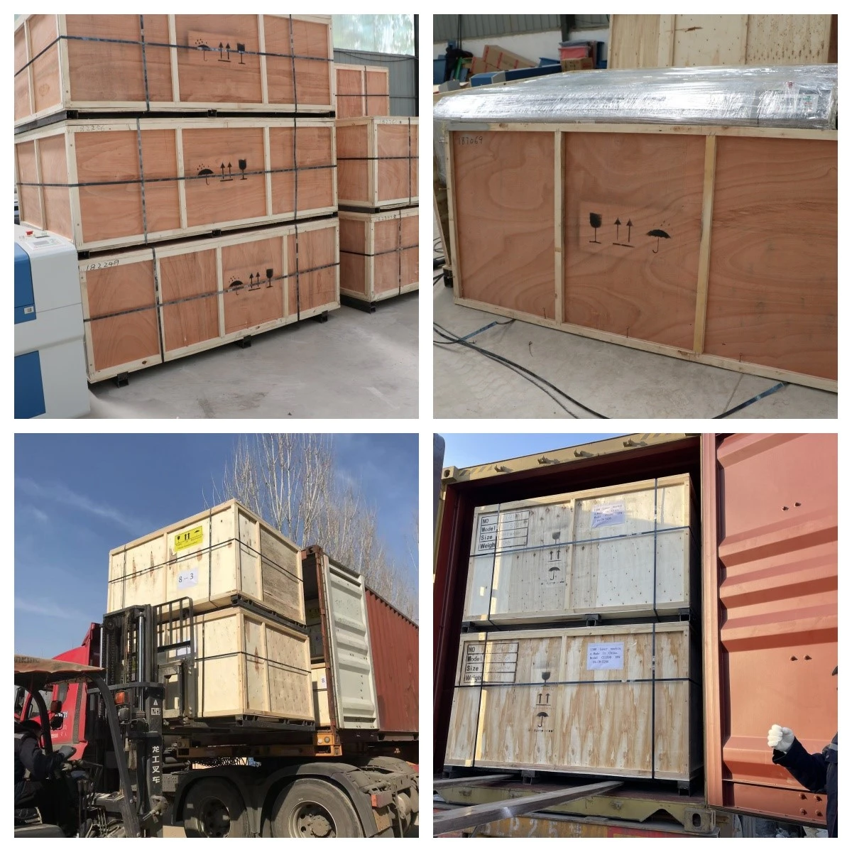 product-1200-1200 product-1200-1200